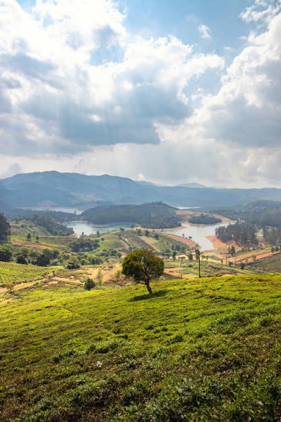 Coonoor