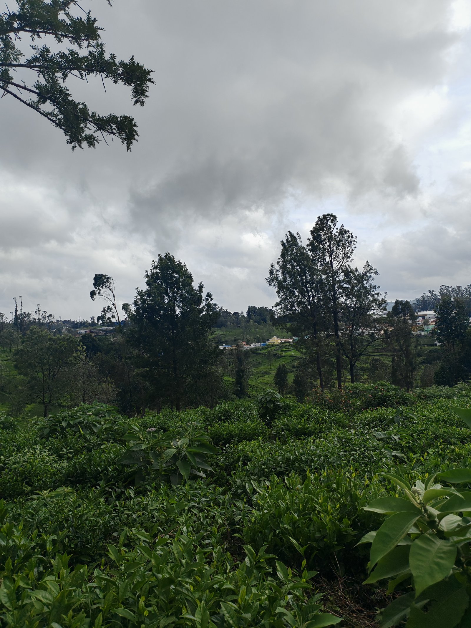 13 Cents land For Sale at kotagiri Image 3