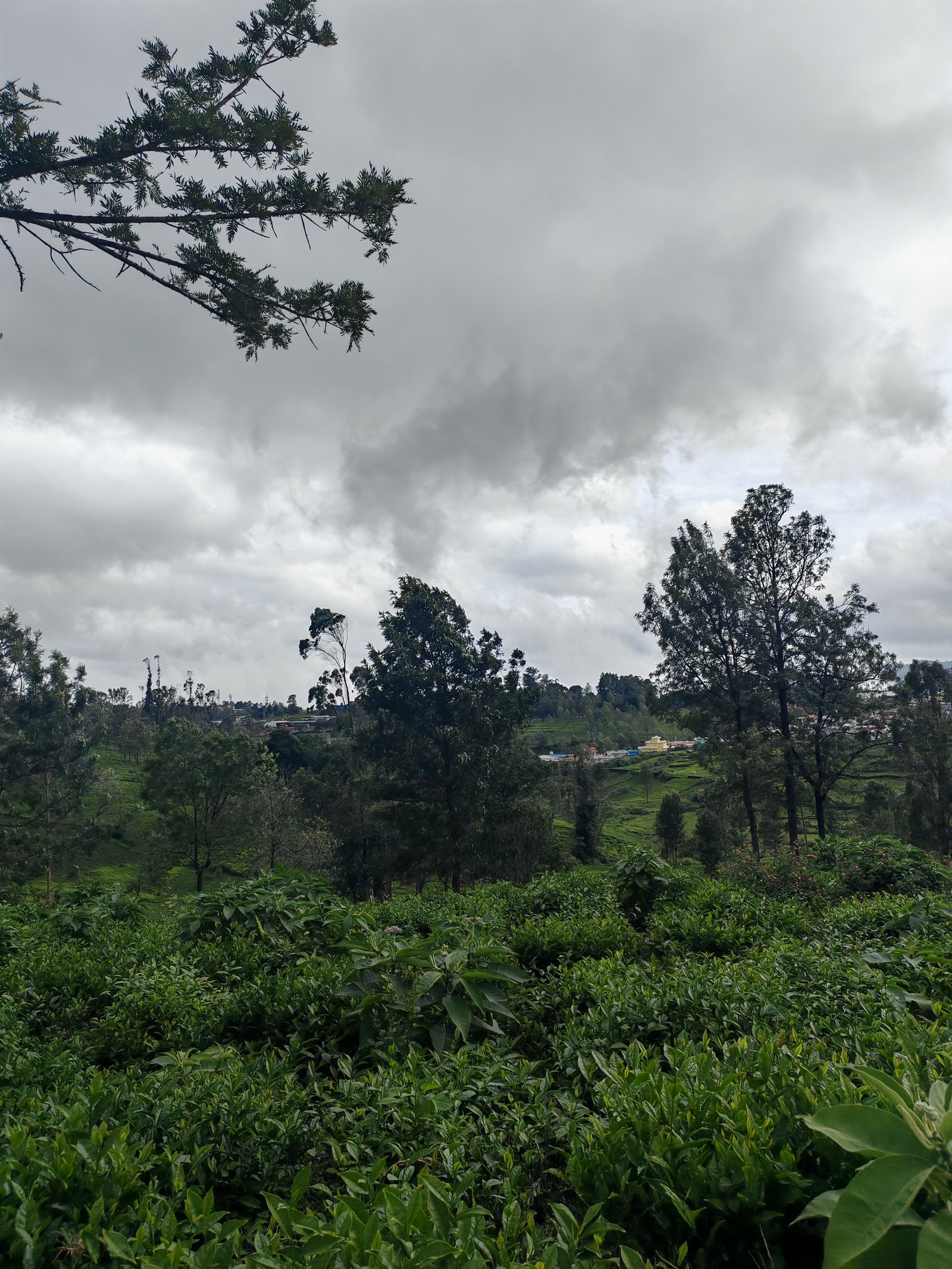 13 Cents land For Sale at kotagiri Image 6